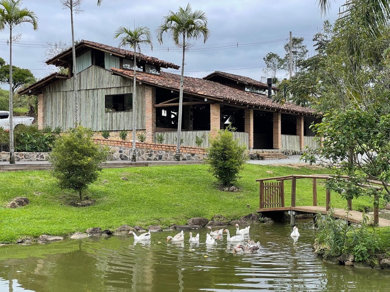 Terreno em Varginha, Santo Amaro da Imperatriz. 0 quartos, 1631m². Imagem 4 de 14